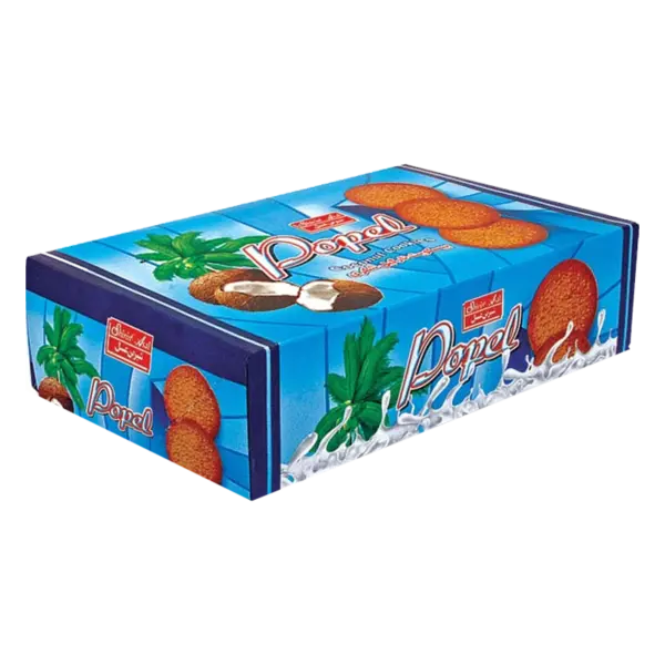کوکی نارگیلی جعبه ای